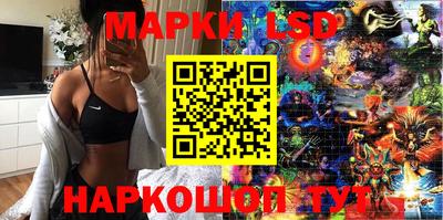 гашик Моздок