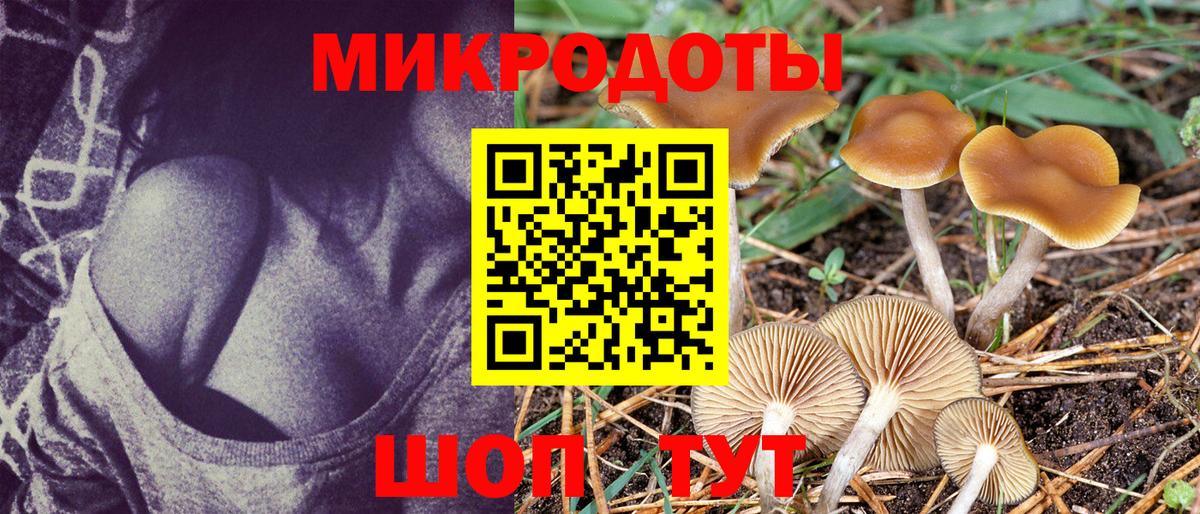 Псилоцибиновые грибы Psilocybine cubensis Уссурийск
