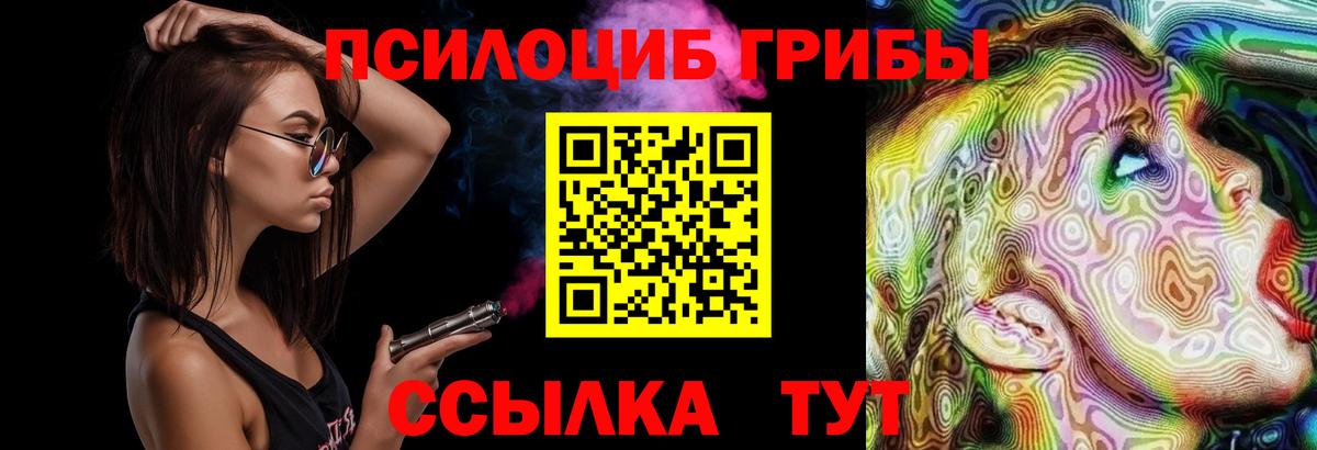 Галлюциногенные грибы GOLDEN TEACHER  Псилоцибиновые грибы Cubensis  Вход с VPN  Уссурийск 
